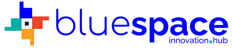 Logo image of Bluespace Innovation Hub, a past partner of Ecobank Fintech Challenge